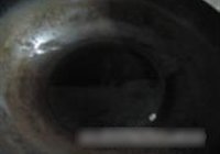 鲅鱼炖土豆的做法 步骤4