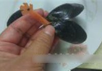 天然玉成海虹屏的做法 步骤5
