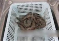 鲜虾炒白菜的做法 步骤5
