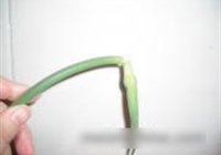蒜苗炒肉片的做法 步骤1