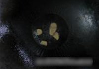 Ź 5