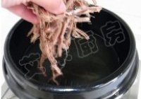 石锅辣牛肉汤的做法 步骤12