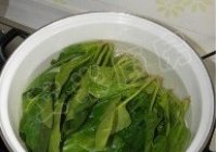 姜蒜香汁菠菜的做法 步骤3