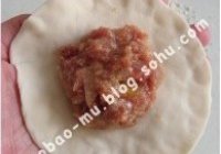猪肉大葱包的做法 步骤22