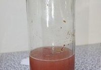 自酿红葡萄酒的做法 步骤7