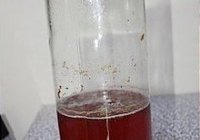 自酿红葡萄酒的做法 步骤8