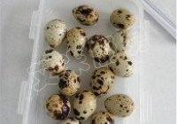 红烧鹌鹑蛋的做法 步骤4