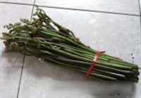 酸辣山芽菜的做法 步骤1