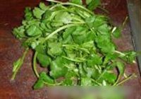 刺毛肉园子的做法 步骤11