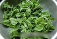 炒豆苗菜的做法 步骤1