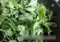炒豆苗菜的做法 步骤3