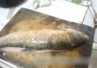 麻辣酸菜鱼的做法 步骤1