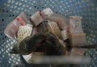 麻辣酸菜鱼的做法 步骤3