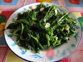 炒豆苗菜