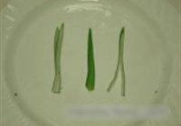 豆豉多宝鱼的做法 步骤4
