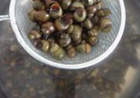 香辣爆螺狮的做法 步骤5