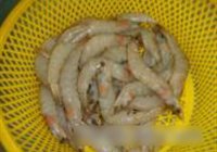 干烧急冻虾的做法 步骤1