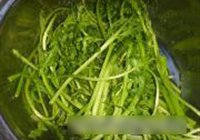 蒜蓉茼蒿的做法 步骤1