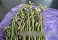 厥菜炒大蒜的做法 步骤1