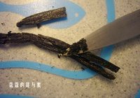 酸奶油杏子冰激凌的做法 步骤3