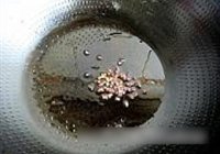 椒汁蒸鲈鱼的做法 步骤10