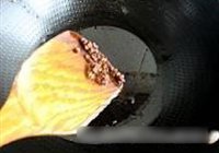 椒汁蒸鲈鱼的做法 步骤13