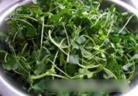 清炒草头的做法 步骤1