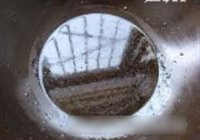 茶树菇梅菜扣肉的做法 步骤15