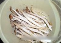 茶树菇炒鸡肉的做法 步骤6