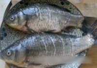 鲫鱼炖黄豆的做法 步骤2