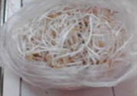 炒豆芽的做法 步骤1