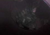 ˿ 6