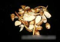 蒜苗芹菜炒慈菇的做法 步骤3
