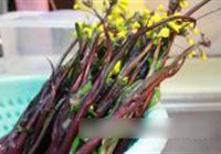 蒜炒红菜苔的做法 步骤1