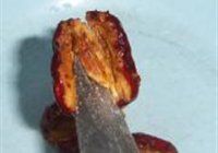 糯米枣的做法 步骤4