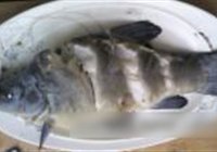 浇香叮桂鱼的做法 步骤3
