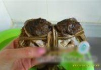 清蒸大闸蟹的做法 步骤2