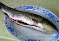烤鱼的做法 步骤1