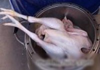 水晶鸡的做法 步骤1
