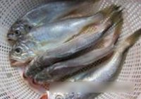 香煎小黄鱼的做法 步骤1