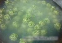 水晶荠菜圆子的做法 步骤4