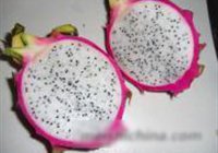芝士虾球的做法 步骤4