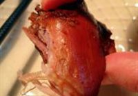 红烧笨鸡的做法 步骤17
