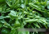 炝炒油菜心的做法 步骤1