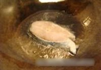 上海熏鱼的做法 步骤2