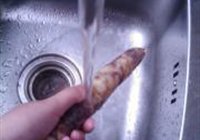 腊肠炒花菜的做法 步骤2