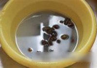 酱爆螺蛳的做法 步骤2