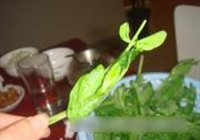 泡椒干锅鲫鱼的做法 步骤13