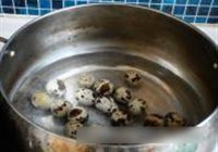 笨鸡炖虎皮鹌鹑蛋的做法 步骤2
