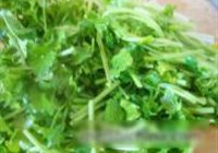 香菜炒豆腐的做法 步骤7